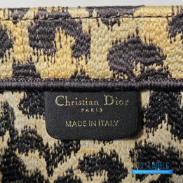 QC Christian Dior Book Tote Bag