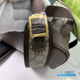 QC Gucci Ophidia GG Backpack
