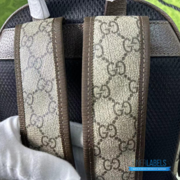 QC Gucci Ophidia GG Backpack