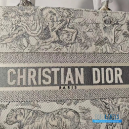 QC Christian Dior Book Tote Bag