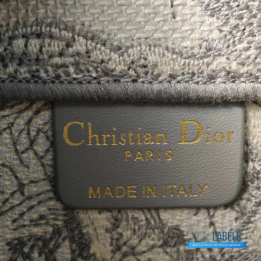 QC Christian Dior Book Tote Bag
