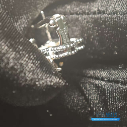 VCA 4leaves Clover Earrings 09-10-25