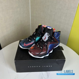 QC Nike LeBron 12 SE 'What The' Basketball Sneakers