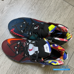 QC Nike LeBron 12 SE 'What The' Basketball Sneakers