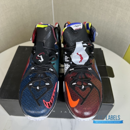 QC Nike Lebron James 12 Basketball Shoes