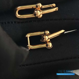 Tiffany & Co. HardWear Link Earrings in Yellow Gold