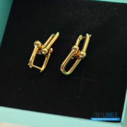 Tiffany & Co. HardWear Link Earrings in Yellow Gold