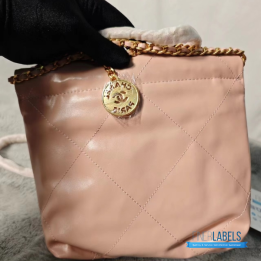Chanel 22 Mini Hobo Bag