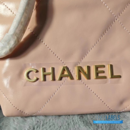 Chanel 22 Mini Hobo Bag