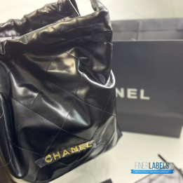 Chanel 22 Handbag in Shiny Calfskin Leather