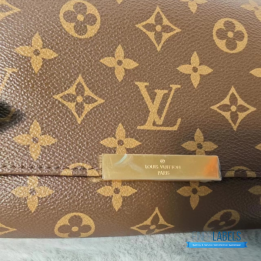 Louis Vuitton Favorite MM Bag