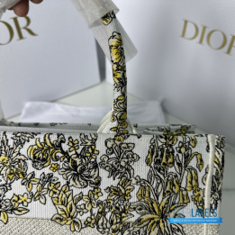 QC Christian Dior Book Tote Bag