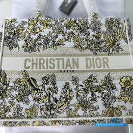 QC Christian Dior Book Tote Bag