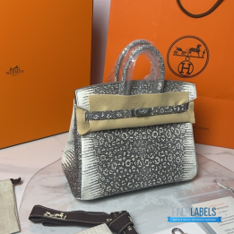 QC Hermes Birkin in Rare Ombre Lizard Leather