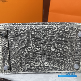 QC Hermes Birkin in Rare Ombre Lizard Leather