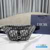 Christian Dior Belt Bag (Pouch) 