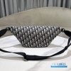 Christian Dior Belt Bag (Pouch) 