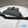 Christian Dior Belt Bag (Pouch) 