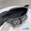 Christian Dior Belt Bag (Pouch) 
