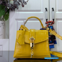 Copy of LV Rose Des Vents Bag