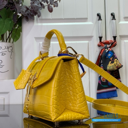 Copy of LV Rose Des Vents Bag