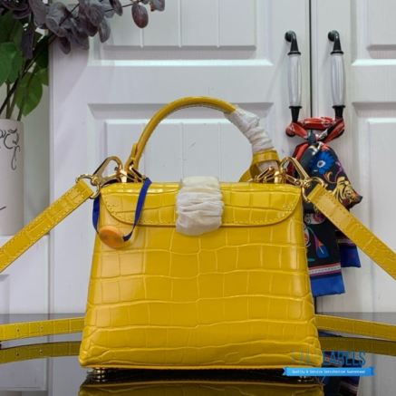 Copy of LV Rose Des Vents Bag