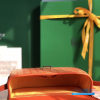 Goyard Belvédère PM (Goyardine Canvas in Orange)