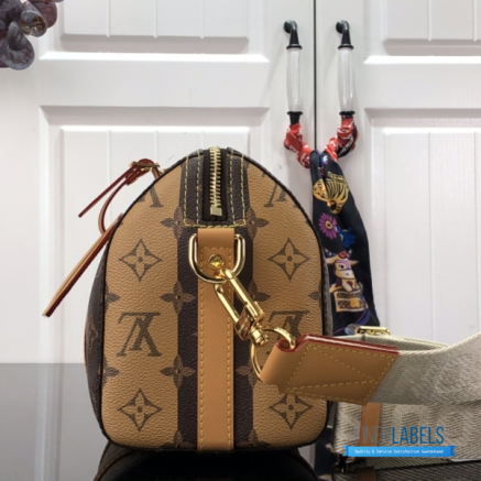 LV City Keepall (Brown Coated Canvas)