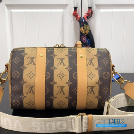 LV City Keepall (Brown Coated Canvas)