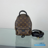 LV Palm Springs Mini Backpack Monogram
