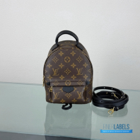 LV Palm Springs Mini Backpack Monogram