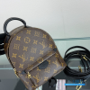 LV Palm Springs Mini Backpack Monogram