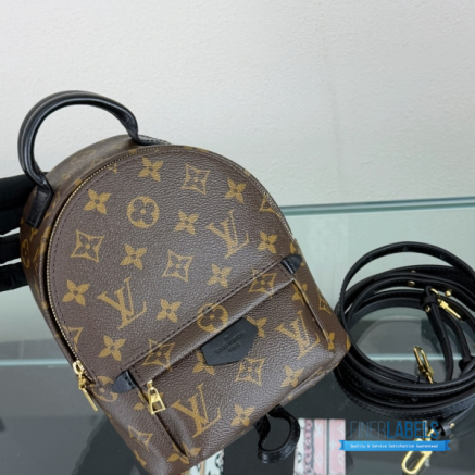 LV Palm Springs Mini Backpack Monogram