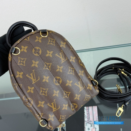 LV Palm Springs Mini Backpack Monogram