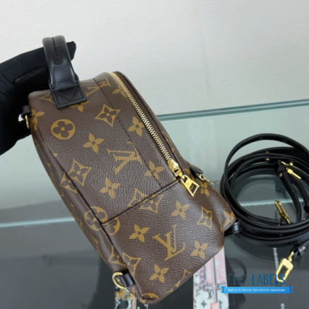 LV Palm Springs Mini Backpack Monogram