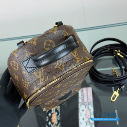 LV Palm Springs Mini Backpack Monogram