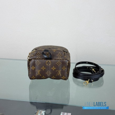 LV Palm Springs Mini Backpack Monogram