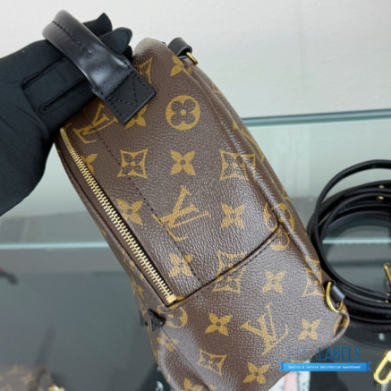 LV Palm Springs Mini Backpack Monogram
