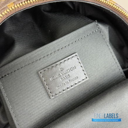 LV Palm Springs Mini Backpack Monogram