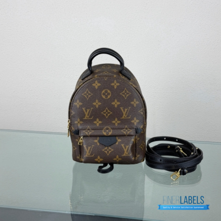 LV Palm Springs Mini Backpack Monogram
