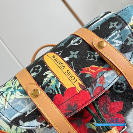 LV Christopher MM Backpack (Multicolor Monogram Surfin' Coated Canvas)