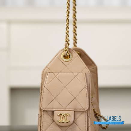 Chanel 25 Mini Handbag