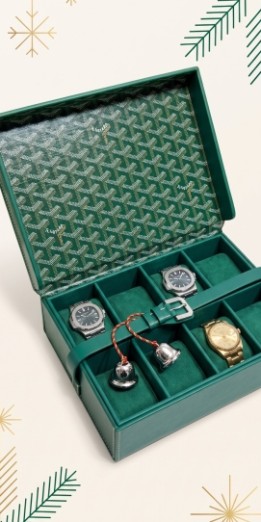 Watch Cases