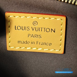 QC Louis Vuitton Monogram Mini Bumbag
