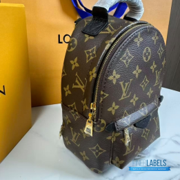 QC Louis Vuitton Palm Springs Mini Backpack