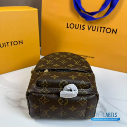 QC Louis Vuitton Palm Springs Mini Backpack