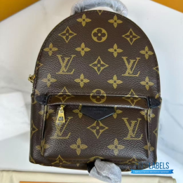 QC Louis Vuitton Palm Springs Mini Backpack