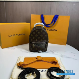 QC Louis Vuitton Palm Springs Mini Backpack