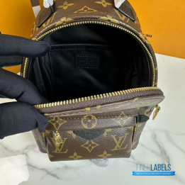 QC Louis Vuitton Palm Springs Mini Backpack