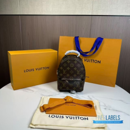 QC Louis Vuitton Palm Springs Mini Backpack